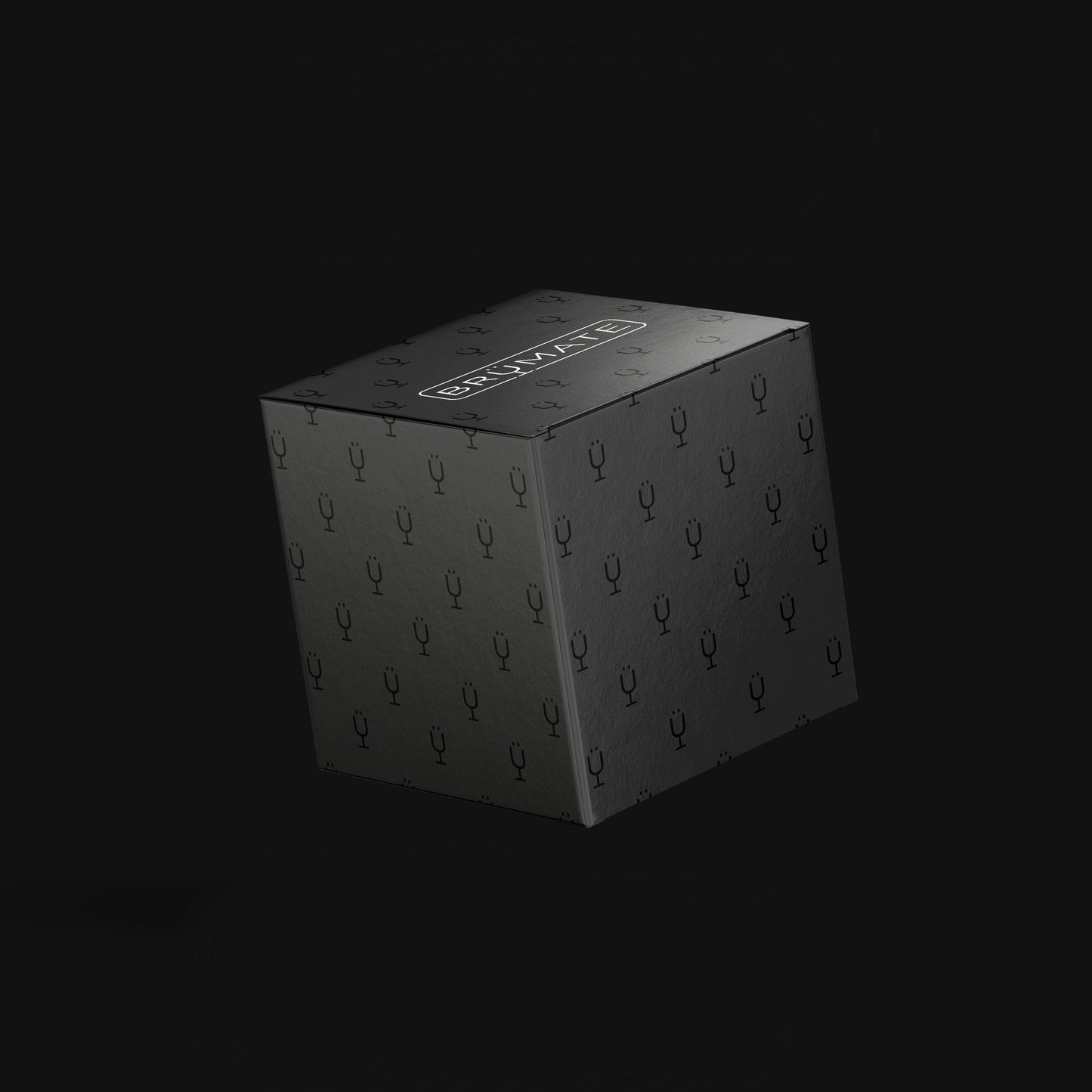 mystery-item-24-49-value-i9 Mystery-Box-FINAL.jpg