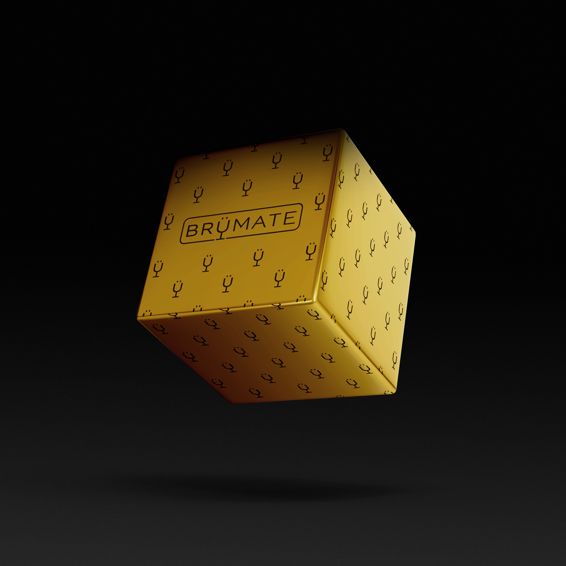 premium-mystery-item-39-70-value-i5 IMG-1548.png
